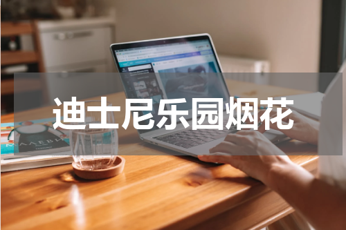 迪士尼乐园烟花