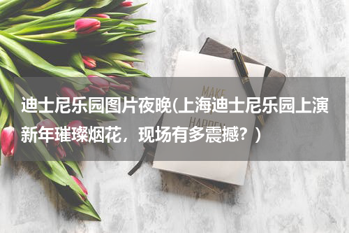 迪士尼乐园图片夜晚(上海迪士尼乐园上演新年璀璨烟花，现场有多震撼？)