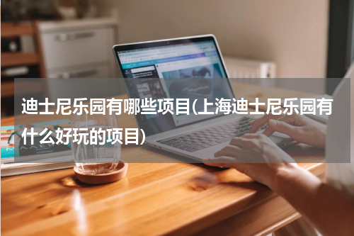 迪士尼乐园有哪些项目(上海迪士尼乐园有什么好玩的项目)