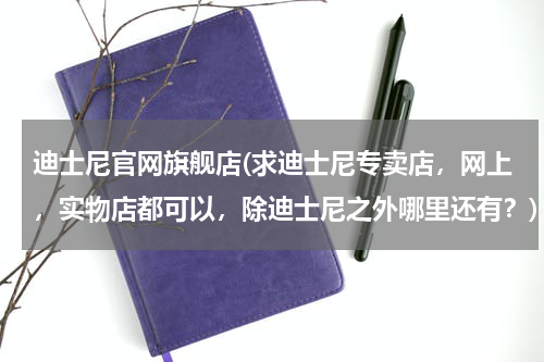 迪士尼官网旗舰店(求迪士尼专卖店，网上，实物店都可以，除迪士尼之外哪里还有？)