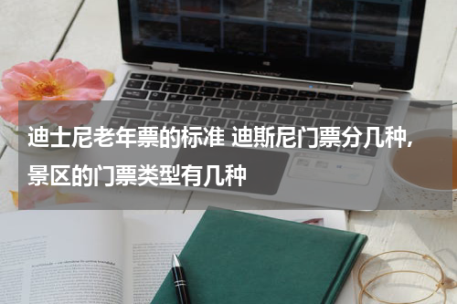 迪士尼老年票的标准 迪斯尼门票分几种,景区的门票类型有几种
